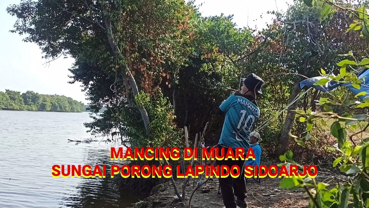 Muara Kali sembilangan Porong sidoarjo mancing Sembilang &dukang @muhammadsiswanto1550 @MUARA MANIA
