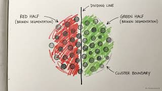 K-Means Clustering | Customer Segmentation Project