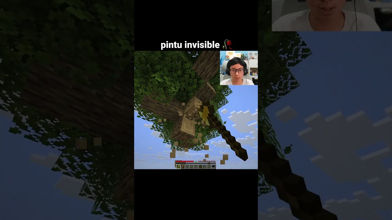 Momen Pintu Invisible Minecraft