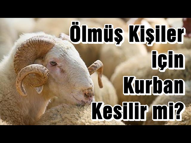 ÖLMÜŞ KİŞİLER İÇİN KURBAN KESİLİR Mİ ? | Vaiz Ali ÖZDEMİR