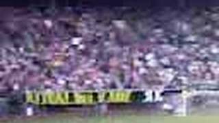 None (Video-0062.mpeg)