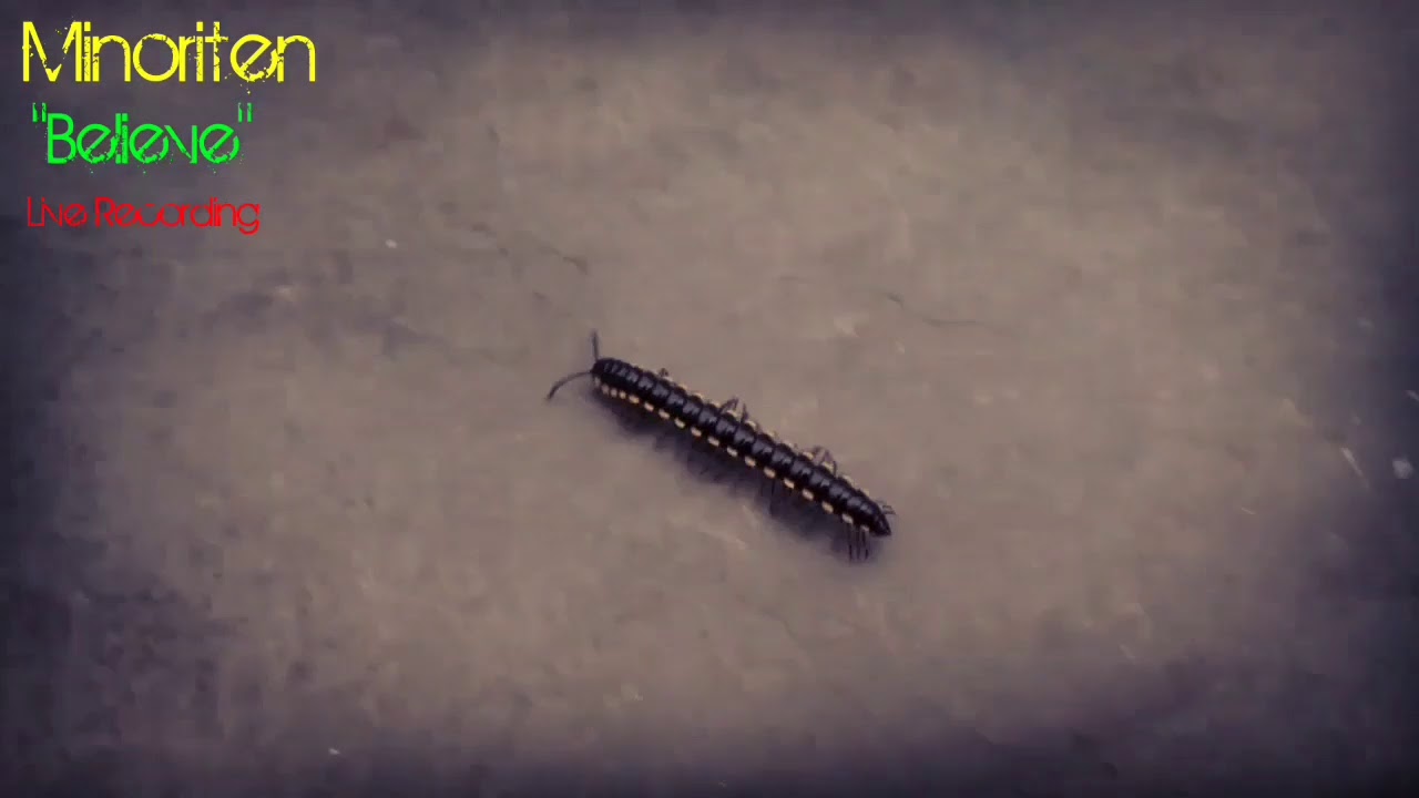 Believe - Minoriten (Live Recording)