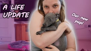 Meet our new puppy, Luna 🌙 @whatsjessreading