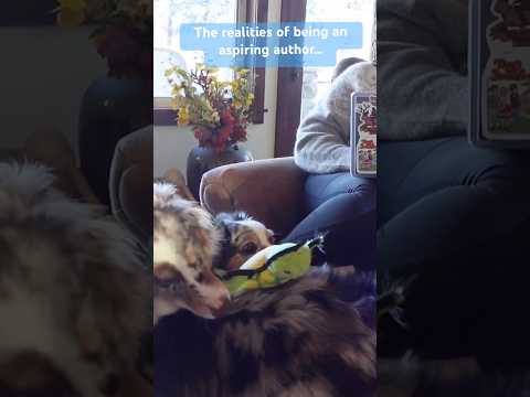 But they’re cute so it doesn’t matter… #writinganovel #writinginspiration #authortube