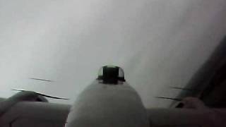 frankie_crash.avi