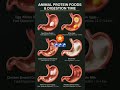 TIME TAKEN FOR ANIMALS FOOD DIGESTION#ytshorts#shortsfeed#digestion#trending#shortvideo#viral#reels