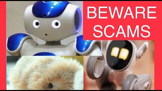 Beware Facebook Scams: Moflin, Loona Petbot, Nao Robot,  Artist made Realistic Animals, Reborn Dolls
