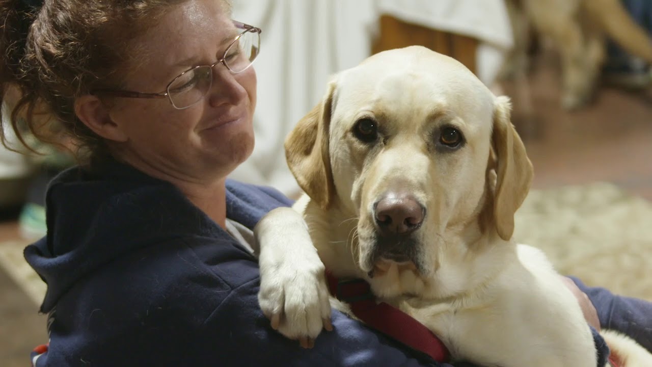 Operation Freedom Paws