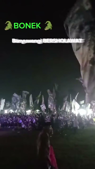 Bonek bersholawat #lewatberanda #benderasholawat #bonita #bonek #bonekmania #storywa #syekhermania