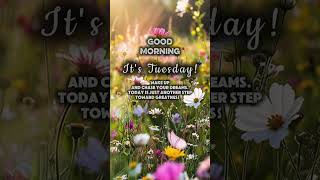 Good Morning Tuesday! #faith #hope #love #tuesday #quotes #goodmorning #capcut