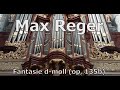 Max reger  opus 135b fantasie dmoll live