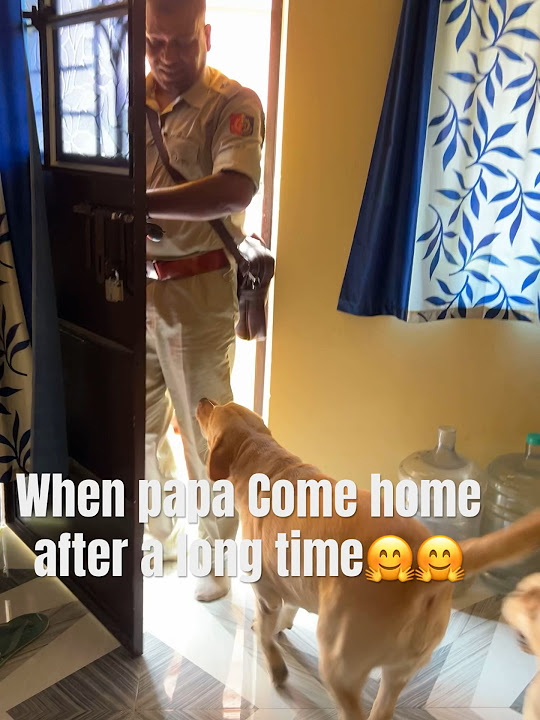 When papa come home after a long time steffi benzy daughters 