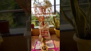 Tulsi pujan diwas ki hardik shubhkamnaye #song #vlog #love #ytshorts #newyoutuber