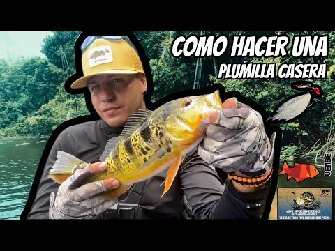 Como hacer una plumilla Casera y Pesca en Lago La Plata/ Caimán 