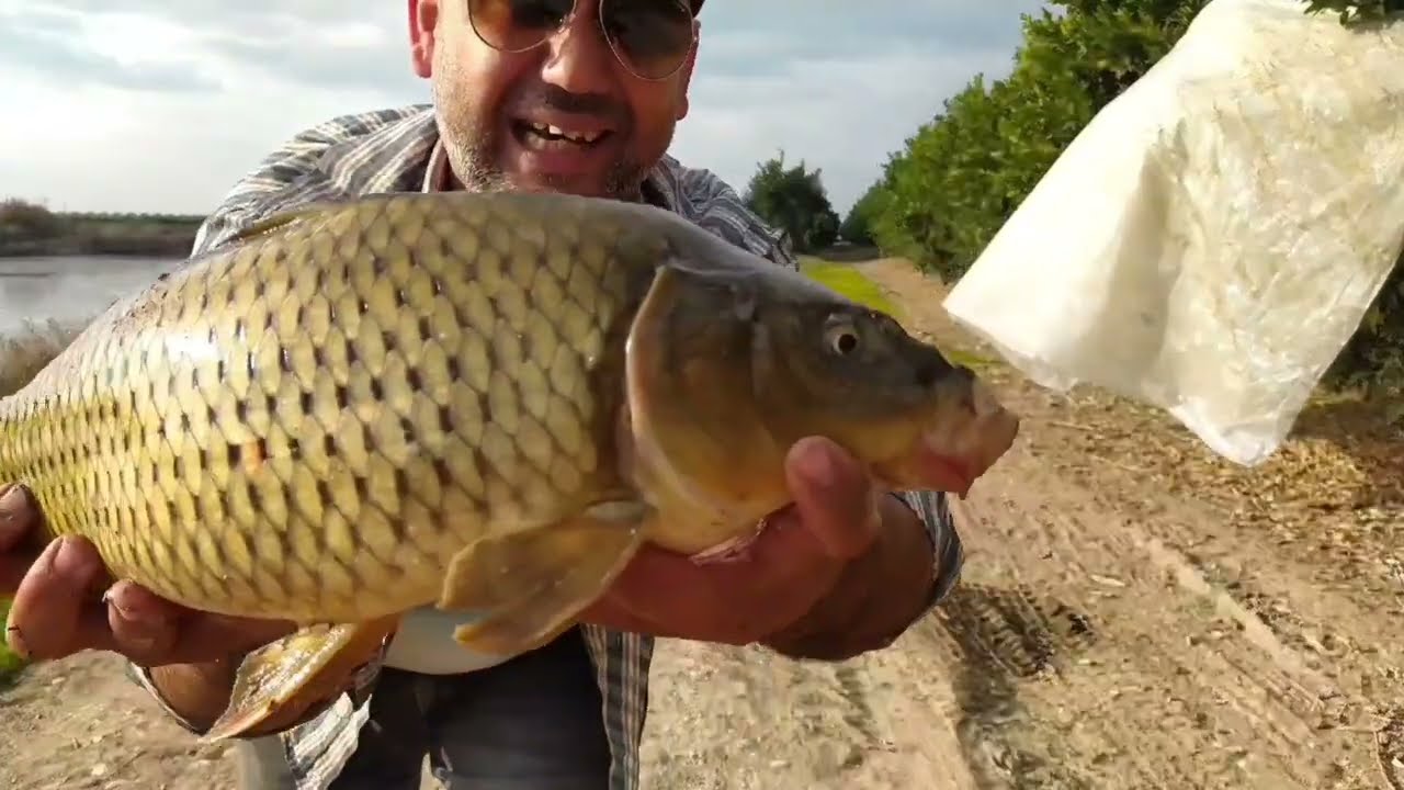 05.01.2023 yılın ilk kefal sazan avı carp fishing 😁