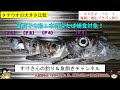 【Ｆ５降臨】【タチウオテンヤ】海底に潜むドラゴン狩り【ゆっくり実況】