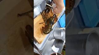 탐스바닷가재 지산본점 영상