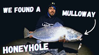 Mulloway Mahem At Midnight | Psycho Silver Slab Session screenshot 2
