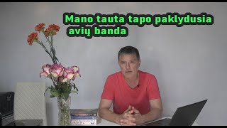 Mano tauta tapo paklydusia avių banda