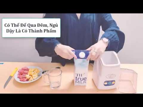 【Máy làm sữa chua Nhật Bản Yogurt Maker】 Ngon - Mịn - Dẻo