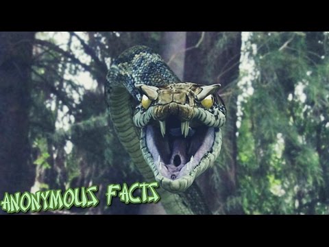 ყველაზე შხამიანი გველი დედამიწაზე