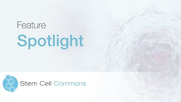 Stem Cell Commons - Data Provenance