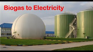 What Is A Biogas Generator Set? Can We Use Biogas To Generator Electricity?