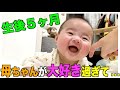 【生後５ヶ月】あんた、めっちゃ好きやん。笑！