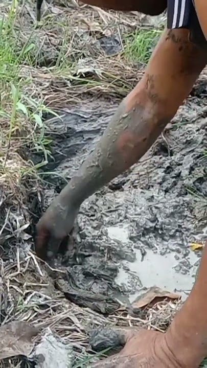 MENCARI IKAN DI DANAU YANG KERING