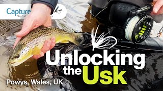 Spring fly fishing action on the River Usk - Wales, UK, 2024
