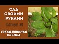 САД СВОИМИ РУКАМИ | УЧИМСЯ У МАМЫ САЖАТЬ РАСТЕНИЯ!