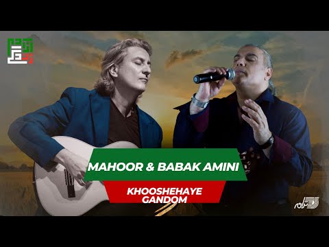    ماهور  خوشه های گندم