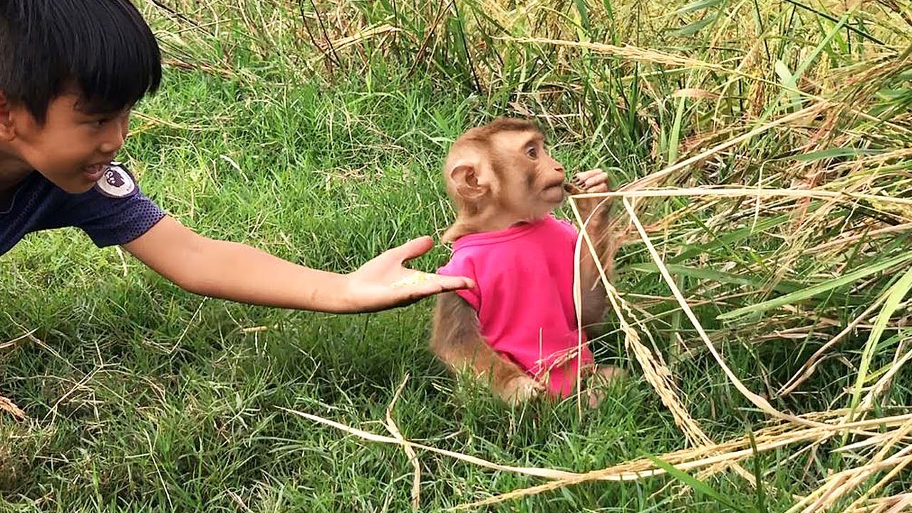 Very Lovely! Jason Clumsy Upset Wait Mom Attention When Playing Outdoor