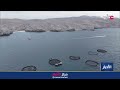 تقرير | محافظة مسندم .. استثمارات متنوعة ومستقبل اقتصادي واعد.