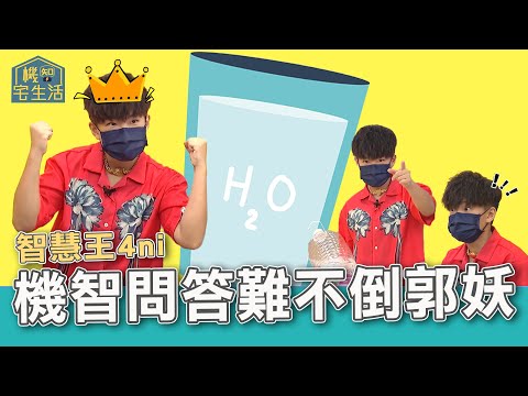 喝水迷思別再信！十大解惑立馬知｜機智宅生活精華