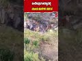 ಬಂಡೀಪುರ ಅರಣ್ಯದಲ್ಲಿ ಮೂರು ಹುಲಿಗಳ ದರ್ಶನ | Tiger Spottted In Bandipur Forest