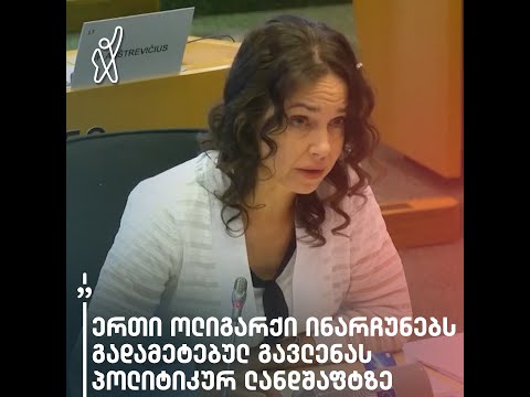 მორიგი მწვავე კრიტიკა ევროპარლამენტიდან