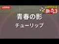 【ガイドなし】青春の影/チューリップ【カラオケ】