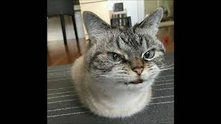 Debug assertion failed!