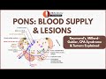 Blood Supply & Lesions of the Pons | Raymond’s, Millard-Gubler, CPA Syndrome & Tumors Explained