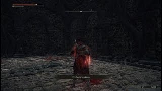 ELDEN RING™ | Mad Pumpkin Heads (Hammer and Flail) | Boss Fight