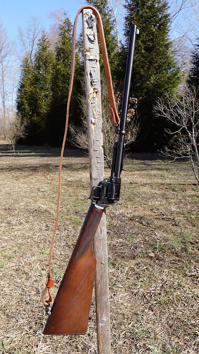 Heritage Rough Rider Rancher 22 Carbine