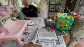 Buster, Earl & Percy | Mama’s home, it's time to be naughty | sink time | holy ground