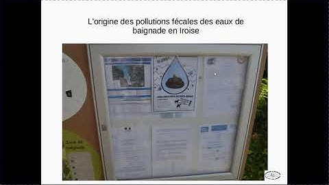 L'origine des pollutions fécales ne peut pas être la pluie !