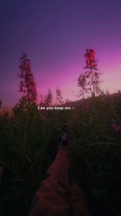 Someone to Stay - Vancouver Sleep Clinic | WhatsApp Status - With Lyrics | Can you fix me up?