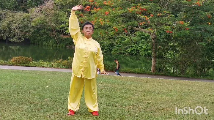 ALICE HO.Health Qigong Ba Duan Jin