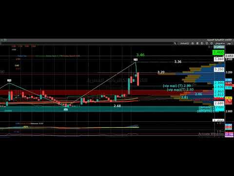 الكابلات الكهربائية المصرية قبل جلسة 11 1 2026