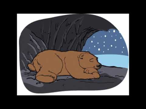 Берлога медведя рисунок для детей