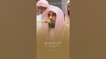 تلاوة مباركة خاشعة بصوت يلامس القلوب #اكسبلور #المصحف #راحة_نفسية #القران #حالات_واتس #خطبه #لايك