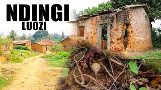 Download Lagu DECOUVERTE MANIANGA MBANZA MUEMBE VILLAGE NDINGI RICHE EN SOL ET SOUS SOL AUJOURDHUI DEVENU PAUVRE. MP3